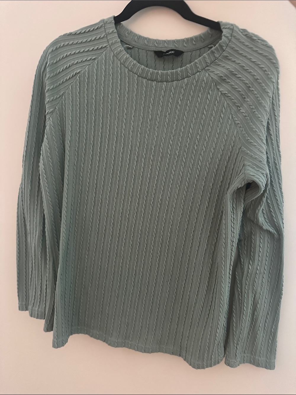 Textured Knit Long Sleeve Top in Sage Green